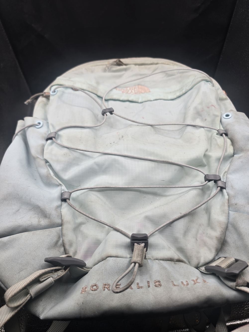 The North Face Pale Blue Borealis Luxe Backpack